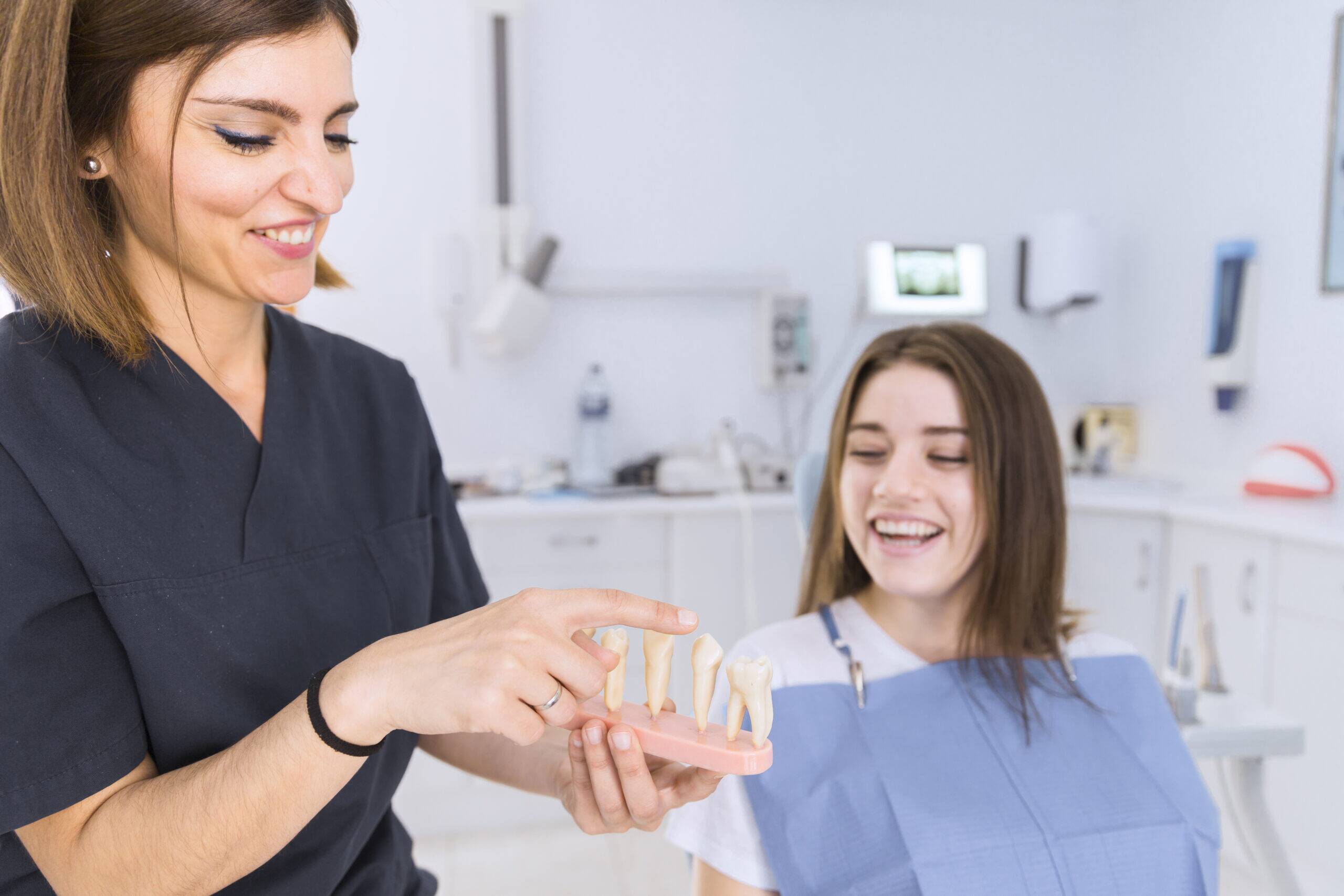 Female dentist showing a teeth model to a female patient